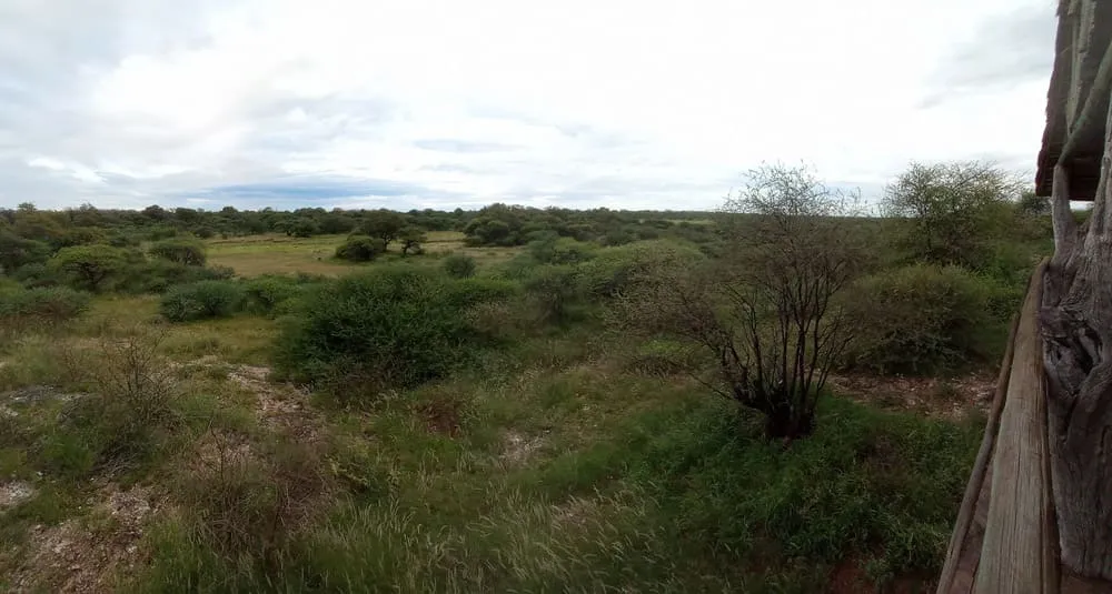 Panorámica desde el lodge sobre la reserva, con amplias extensiones de sabana y vegetación autóctona africana.